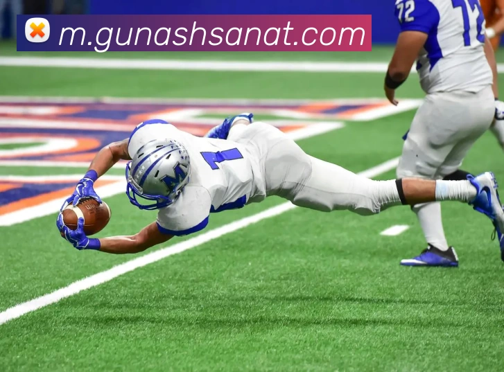 奖项证书