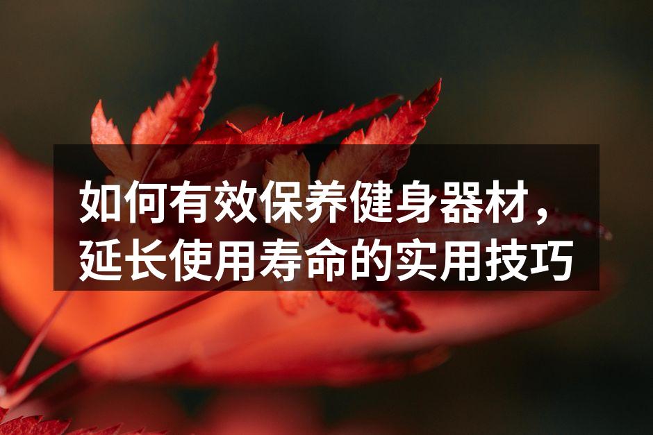 如何有效保养健身器材，延长使用寿命的实用技巧