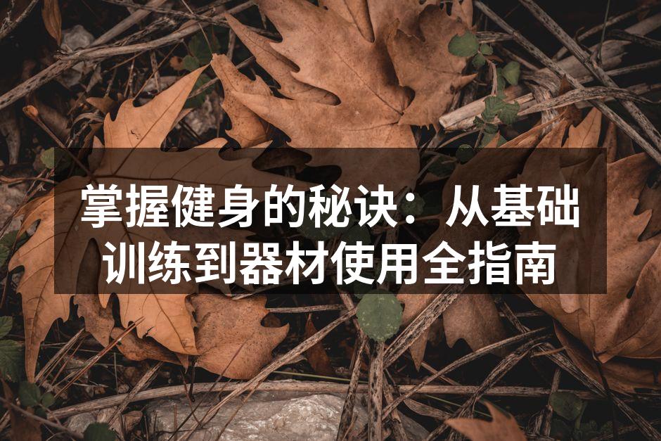 掌握健身的秘诀：从基础训练到器材使用全指南